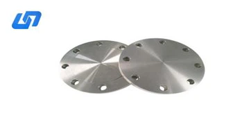 Flange forjado de titânio de placa cega Asme B16.5 Pn40